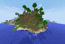Crazy Craft